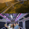 Da Nang Airport to Ba Na Hills with Dcar Limousine 9 Seats