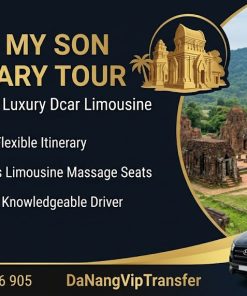 Private My Son Sanctuary Tour from Da Nang by Dcar Limousine