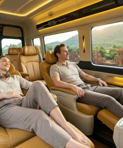 Private My Son Sanctuary Tour from Da Nang by Dcar Limousine
